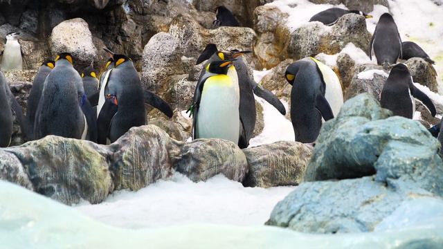 Antarctica | The Frozen Continent | Drone 4K смотреть онлайн