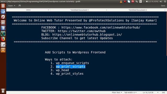 Complete Wordpress Solutions Tutorial - Attach Script file & variables at frontend page смотреть онлайн