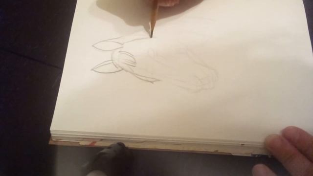 Как нарисовать лошадь/ Рисуем лошадь /Антистресс/ Рисуем карандашом смотреть онлайн