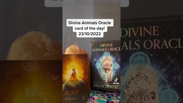 Divine Animals Oracle Card of the day! 23/10/2022 смотреть онлайн