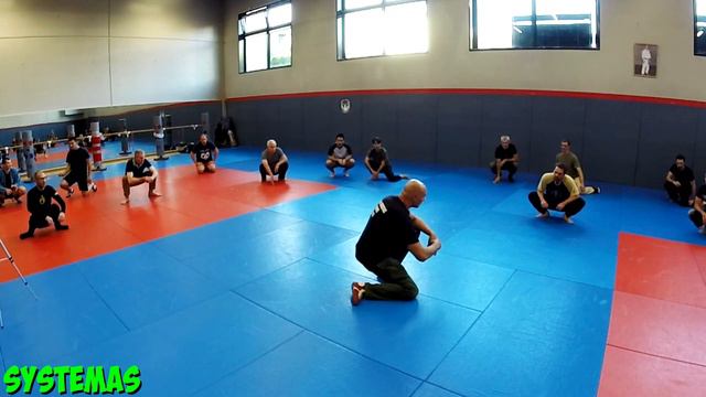 SYSTEMA ECHAUFFEMENT ARTICULAIRE russian martial art - ALEX KOSTIC systema homo ludens смотреть онлайн