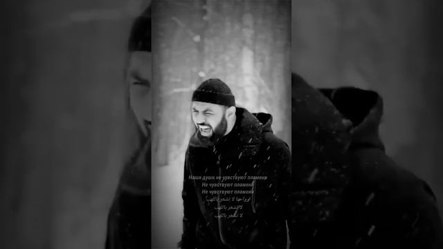 sevak zima الشتاء أغنية روسية مترجمة смотреть онлайн