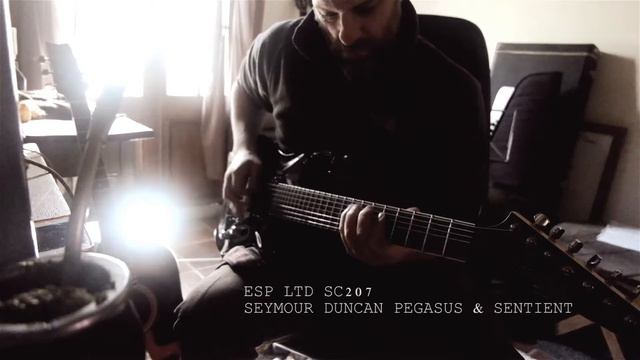 Seymour Duncan Pegasus & Sentient ESP (gear Review)