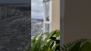 Света и проклятая квартира. Страшилки из Тик Тока