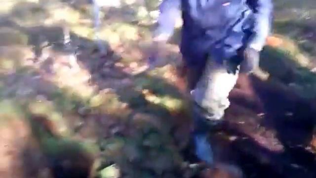 Правильная заготовка мха смотреть онлайн