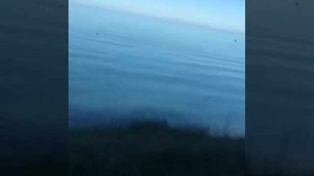 Пляжи в Вишневке , вода в море самая чистая ,на чёрном море смотреть онлайн