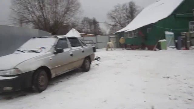 Погоня пони за человеком :) смотреть онлайн