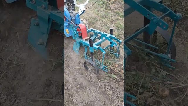 Чебоксарская картофелекопалка ККМ-1 с мотоблоком НЕВА МБ-23 С-9,0 PRO (часть 1) смотреть онлайн