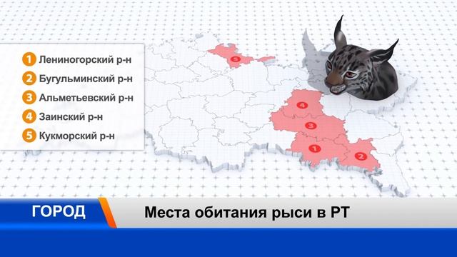 В Татарстане рысь напала на подростка смотреть онлайн