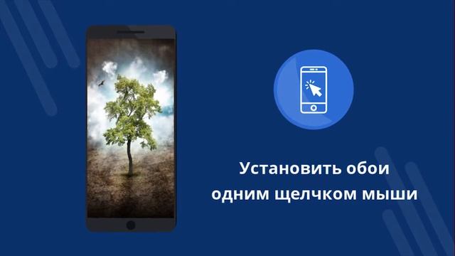 Обои 4K с деревом смотреть онлайн