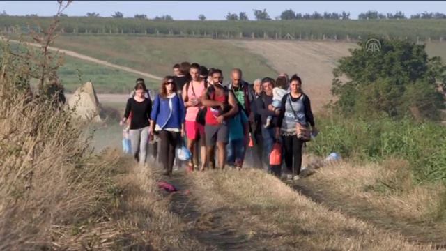 Refugees en route to Croatia смотреть онлайн