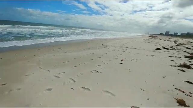 США. Опять поминальные венки на пляже. Ракушки с дырочками. смотреть онлайн