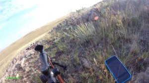 Охота на сурка: 223 rem- 260 м.