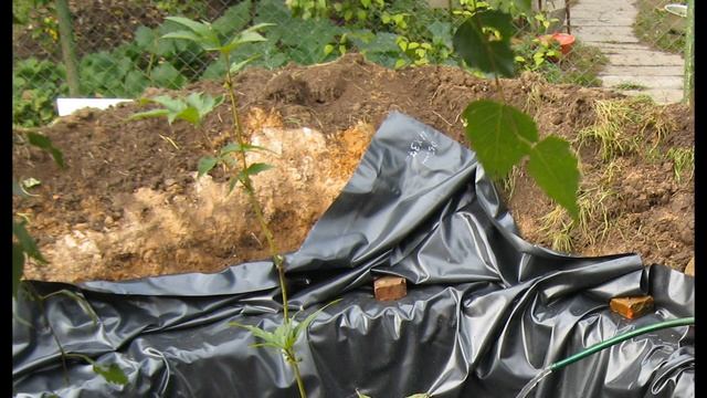 ПРУД своими руками с ВОДОПАДОМ за 4 дня. Пошагово. смотреть онлайн