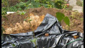 ПРУД своими руками с ВОДОПАДОМ за 4 дня. Пошагово.