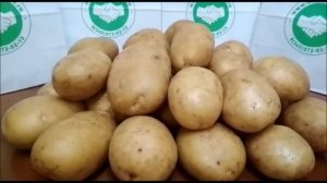 29.01.2019г. Сорт картофеля Аризона уже совсем скоро!!!