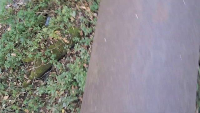 Осень, гуляем и веселимся. смотреть онлайн