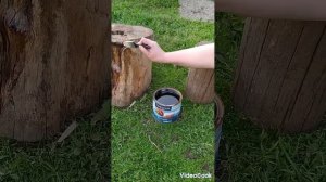 Клумба из ветхого пня ?