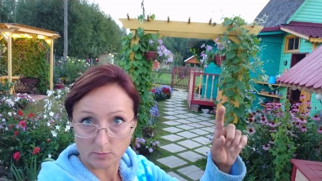 Видео привет с 6 соток 15 августа 2021 года смотреть онлайн