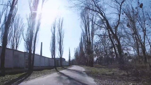 Forest Riders - В Сервис За Новым Колесом смотреть онлайн