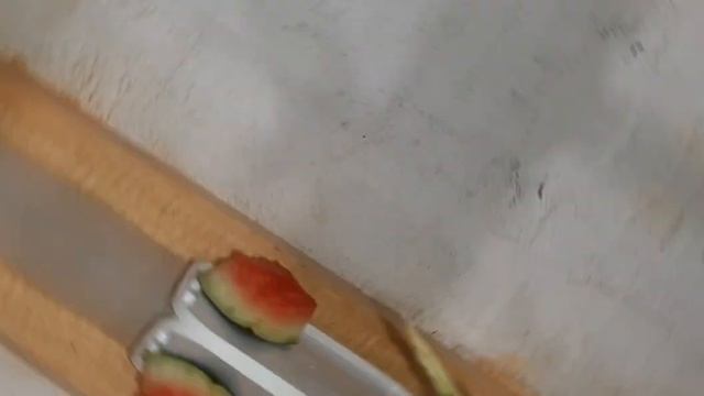Паруем волнистых попугаев. Сколько яиц снесла самка и сколько птенцов из одной кладки? смотреть онлайн