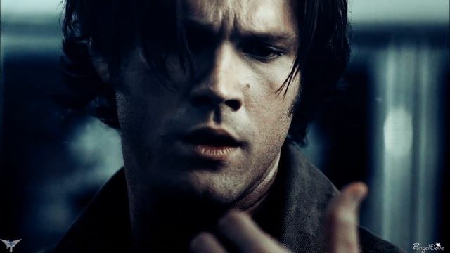 Team Free Will – Rise Up (Imagine Dragons) [AngelDove] смотреть онлайн