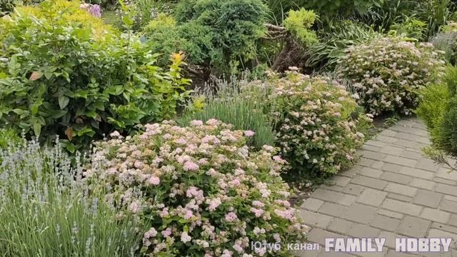 Прогулка по ПРЕКРАСНОМУ САДУ Светланы и Сергея Декуновых .28 июня . смотреть онлайн