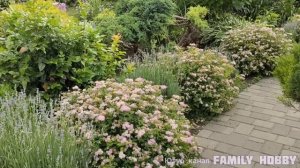 Прогулка по ПРЕКРАСНОМУ САДУ Светланы и Сергея Декуновых .28 июня .