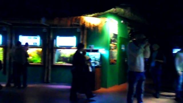 ?VLOG||ПИТЕР||ОКЕАНАРИУМ||PART1? смотреть онлайн