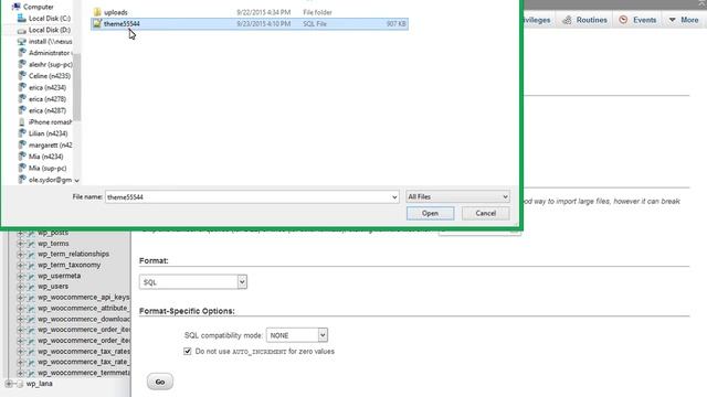 WooCommerce. How To Install The Template With Sample Data Manually смотреть онлайн