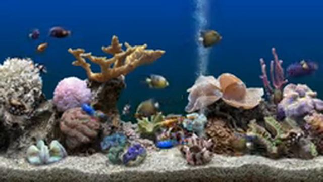 Sleeping, Relaxing or Meditation for 9h Colourful Sea Life Reduce Stress and Anxiety Coral reef смотреть онлайн