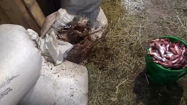 Делаем запасы//Напекли пирогов. смотреть онлайн