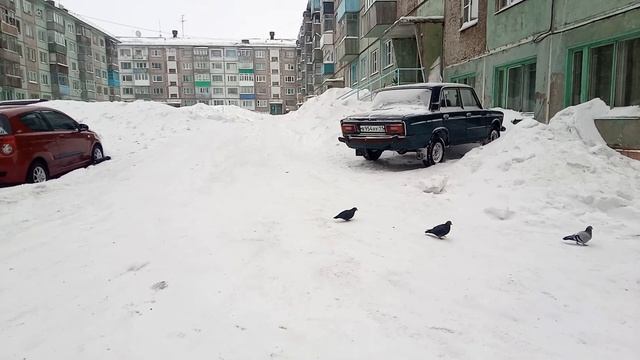 Северный, республика Коми смотреть онлайн