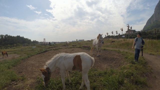 Волшебный вулканический остров Джеджу смотреть онлайн