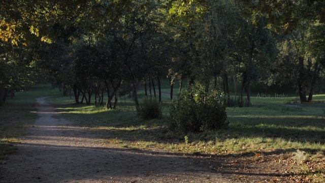 Buona Terra Singapore White Truffle Series - Part 1- Truffle Hunting смотреть онлайн