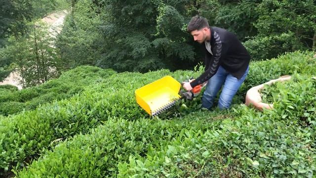 ÇAY TOPLAMA MOTORU смотреть онлайн