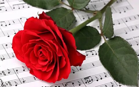 ? ПЕСНЯ ОСТАЁТСЯ С ЧЕЛОВЕКОМ ? ИСПОЛНИТЕЛЬ Светлана ?Svetlana - Lovely song ? смотреть онлайн