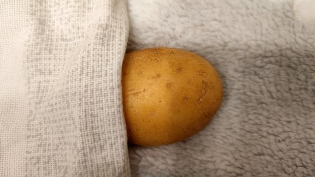 КАРТОШКА СПИТ ПОД КРУТОЙ ТРЕК смотреть онлайн