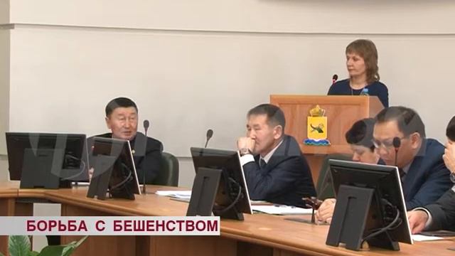 Борьба с бешенством