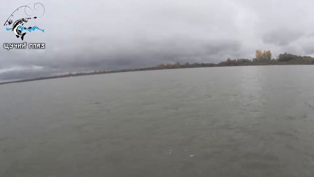 Рыбалка троллингом в Молчаново, на Оби (18.09.2017) смотреть онлайн