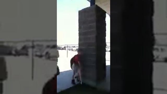 I WANT COOKIES!!!!!! ? смотреть онлайн