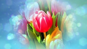 Футаж. Цветочный фон 21