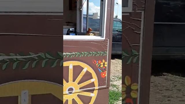 #польша#блоне#парк#лето2019# смотреть онлайн