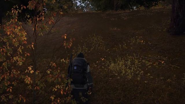 Конкурс на премиум аккаунт . Stalker Online|Stay out. смотреть онлайн