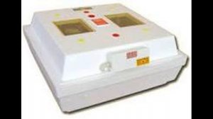 7 правил инкубации куриных яиц в домашних условиях. Яйца,температура, влажность, дни.