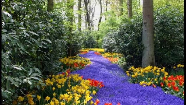 Орнитотерапия-Лечение пением птиц Пение Жаворонка смотреть онлайн