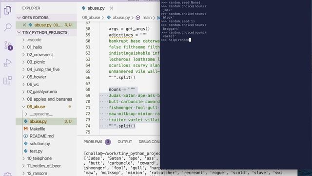 Tiny Python Projects: Ch 9 Pt 5 (Using randomness) смотреть онлайн