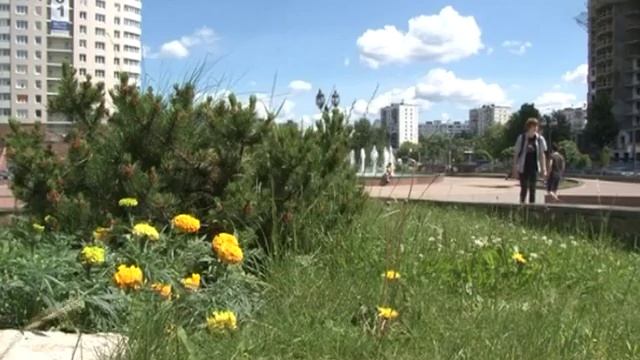 Прогулка по городу Пушкино смотреть онлайн