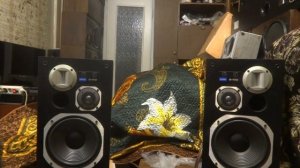 Pioneer S-170 , звучание