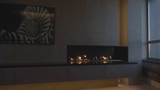 Проект - Зебра. Биокамин Airtone Andalle 1500 смотреть онлайн